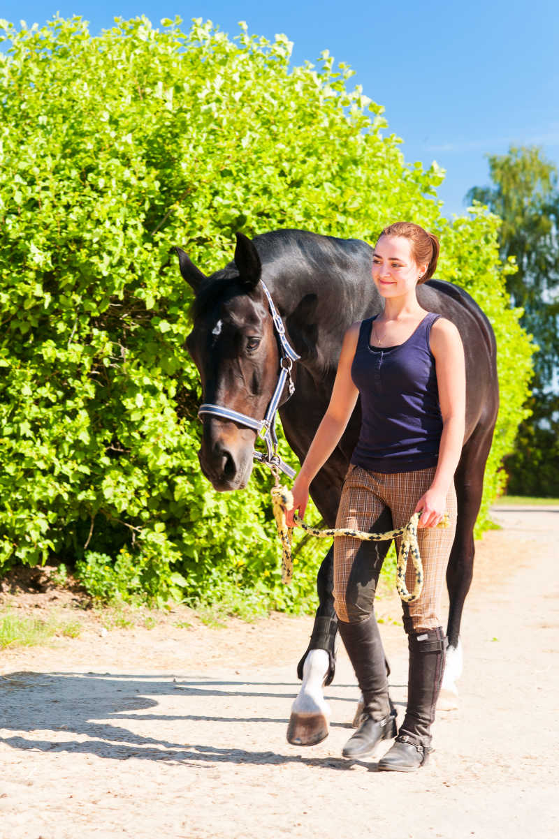 牵着骏马的女孩