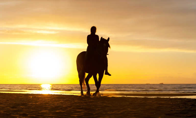 夕阳下一人牵马高清图图片
