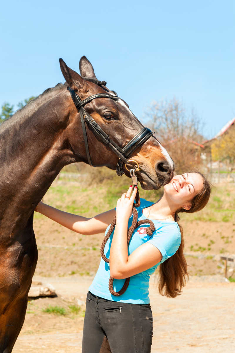 和主人很亲昵的骏马