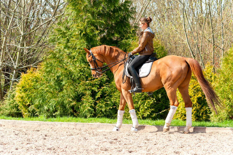 骑在马背上的女孩