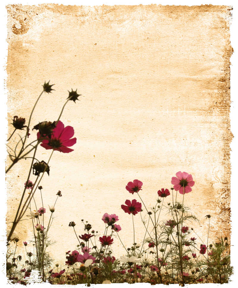 老旧纸张上印着的美丽的花