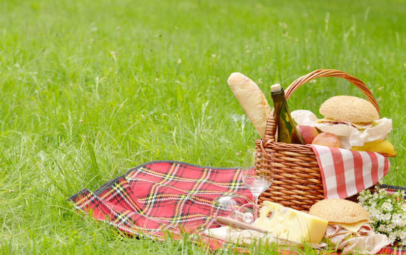 草地餐巾上美味的的野营美食