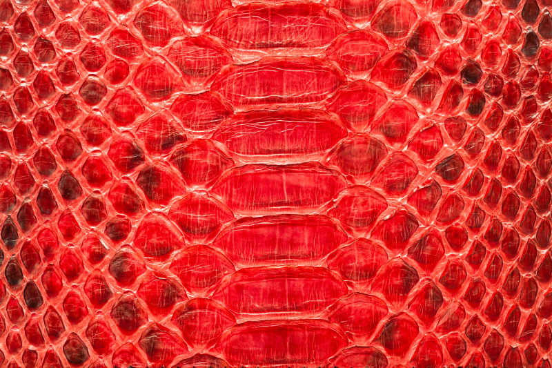 红色蟒蛇纹理背景