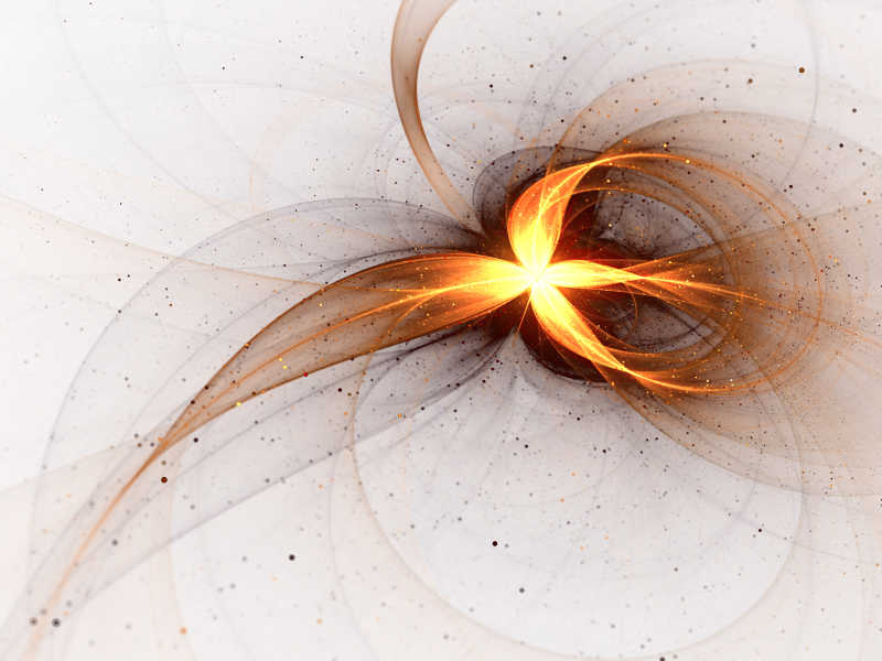 白色背景下的金花曲线插画