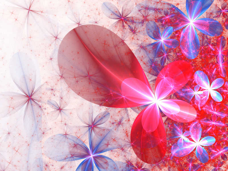 美丽的3d插画花朵