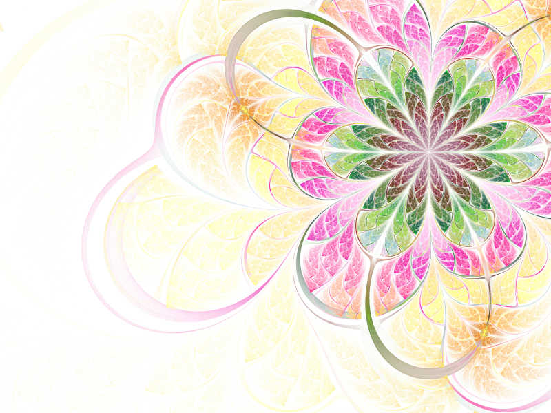 彩色花朵的抽象插画