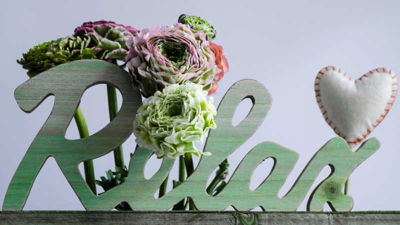 英语放轻松单词和各种装饰鲜花