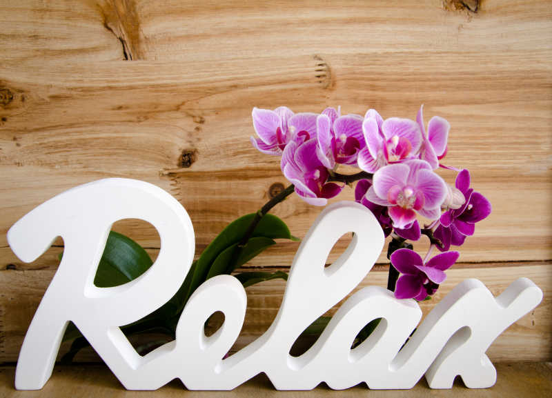 单词放松和紫色装饰鲜花