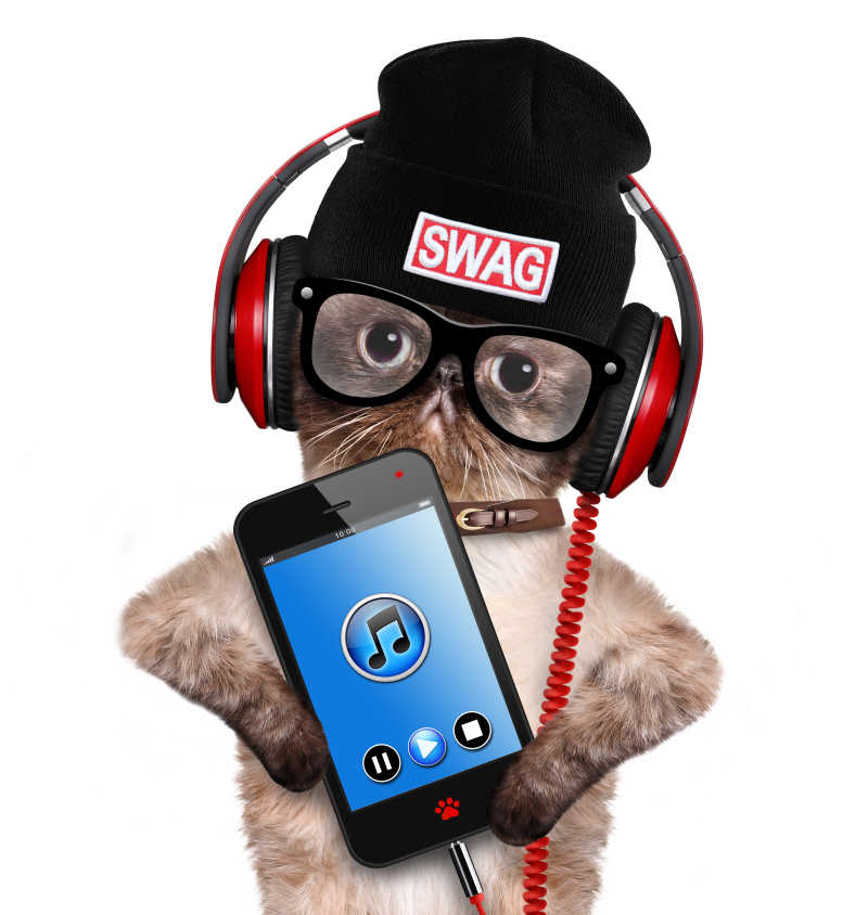 用手机戴着耳机听音乐的猫咪