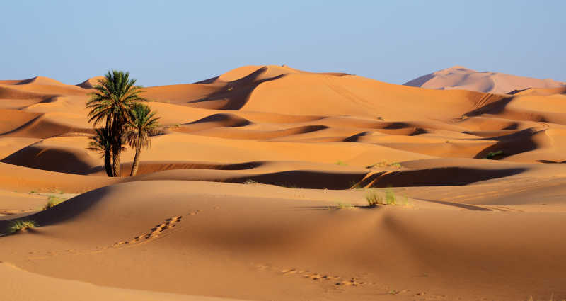 干旱缺水的撒哈拉沙漠