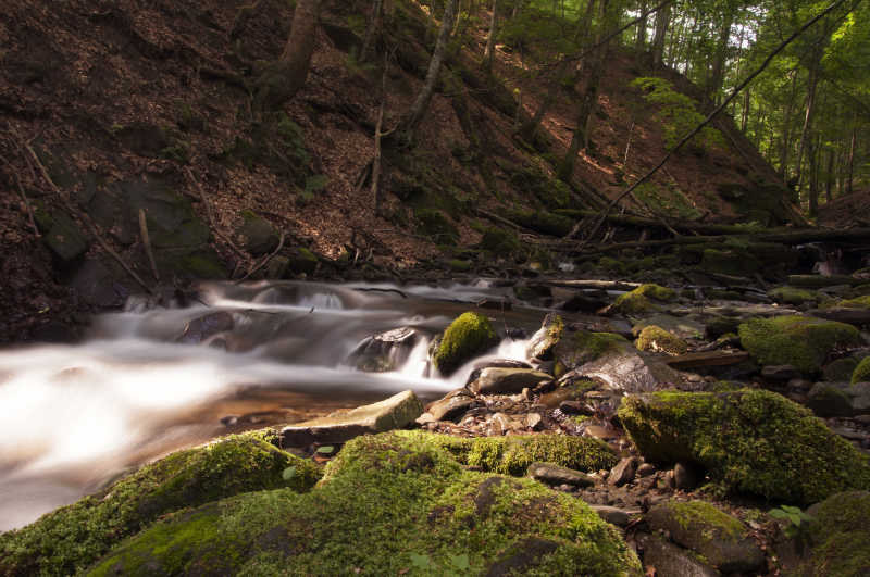 美丽的户外森林里的自然瀑布景观