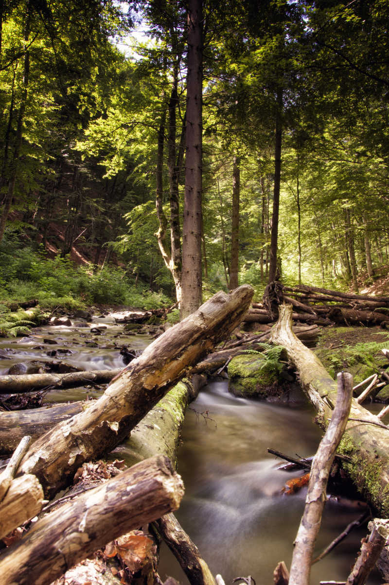 户外自然森林里的美丽的小瀑布
