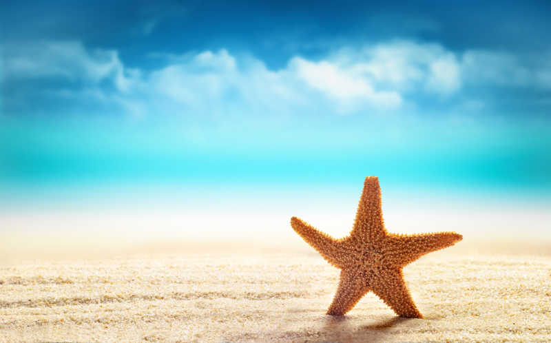 海滩上的金色海星