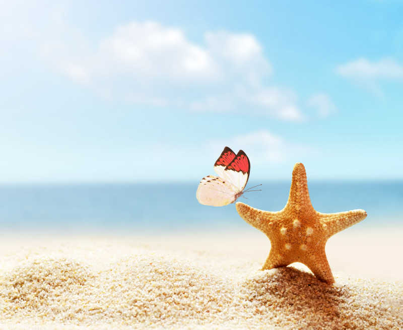 夏日海滩上的金色海星和蝴蝶