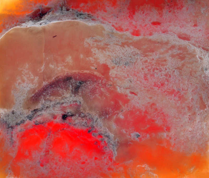 波罗的海琥珀化石抽象纹理