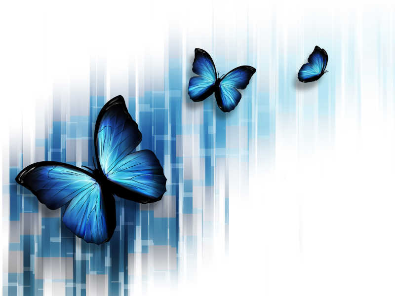 精美的蝴蝶图片 蓝色蝴蝶背景素材 高清图片 摄影照片 寻图免费打包下载