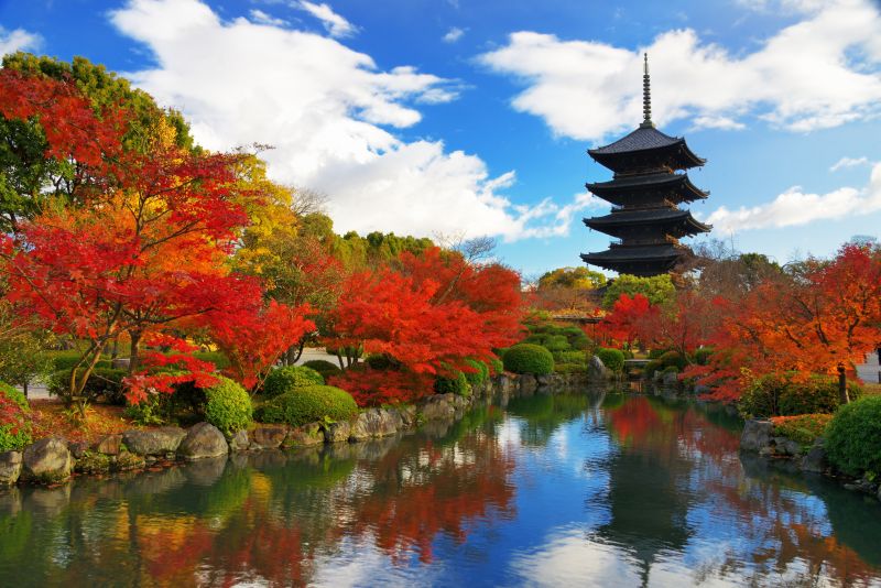 日本的宝塔