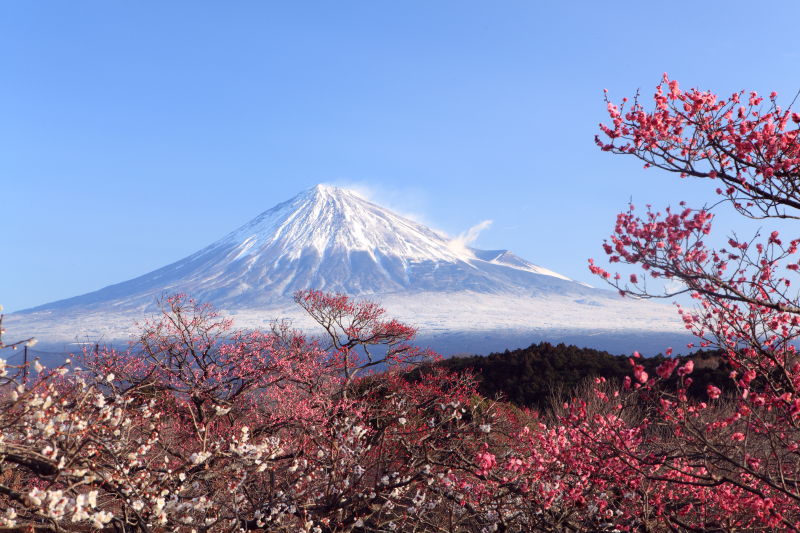 富士山图片 远处的富士山素材 高清图片 摄影照片 寻图免费打包下载