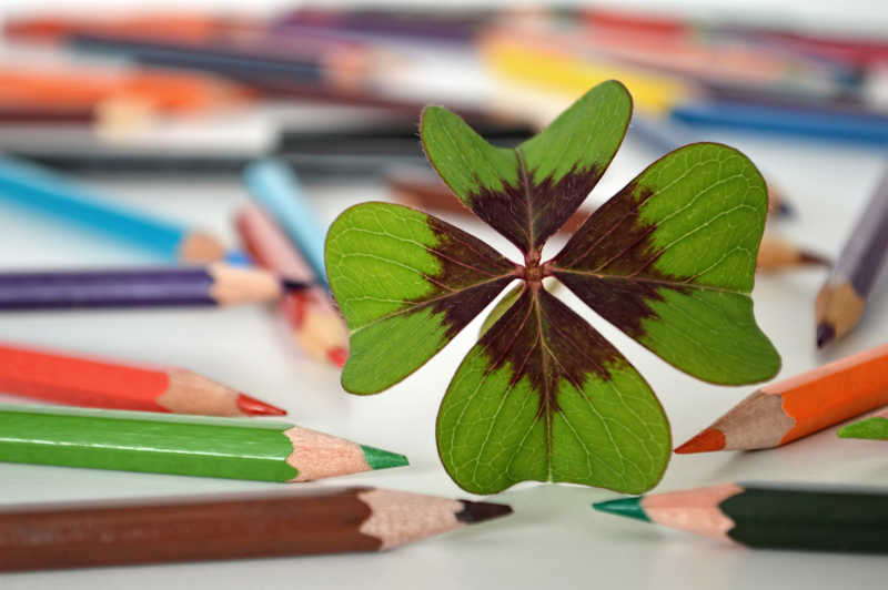 桌子上的四叶草和彩色铅笔