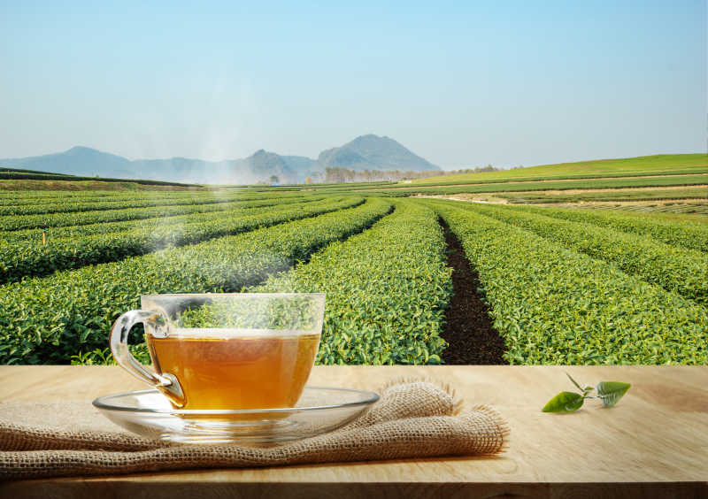 背景下木桌上的一杯熱清茶素材-高清圖片-攝影照片-尋圖免費打包下載