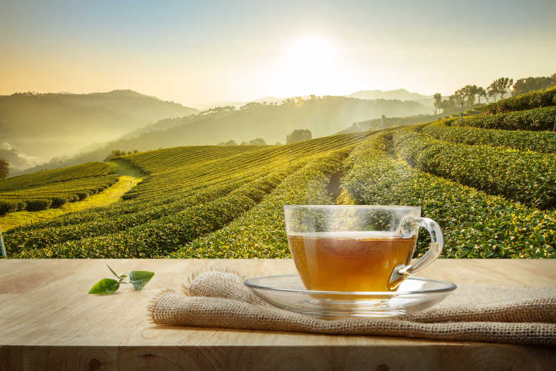 阳光下的绿色茶园背景下木桌上的一杯热清茶