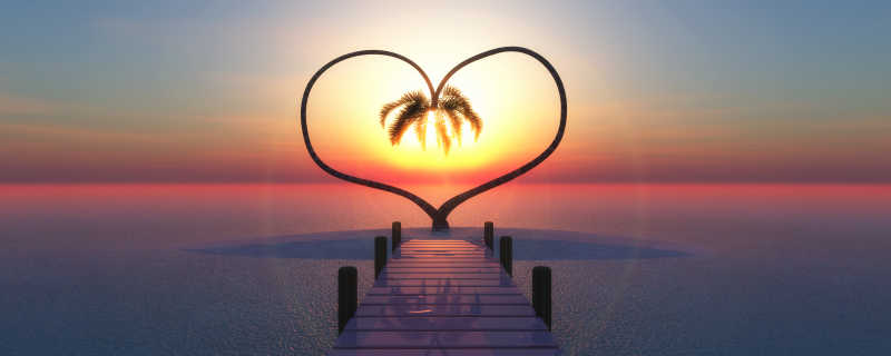 落日阳光下海上的一个树形成的心形