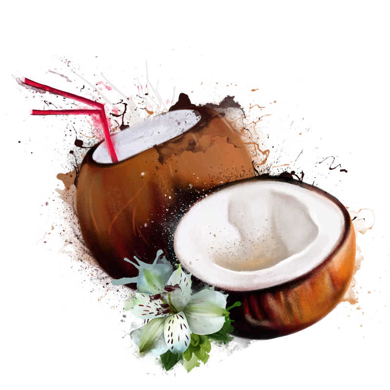 白色背景下露着椰肉的椰子和插着吸管的椰子