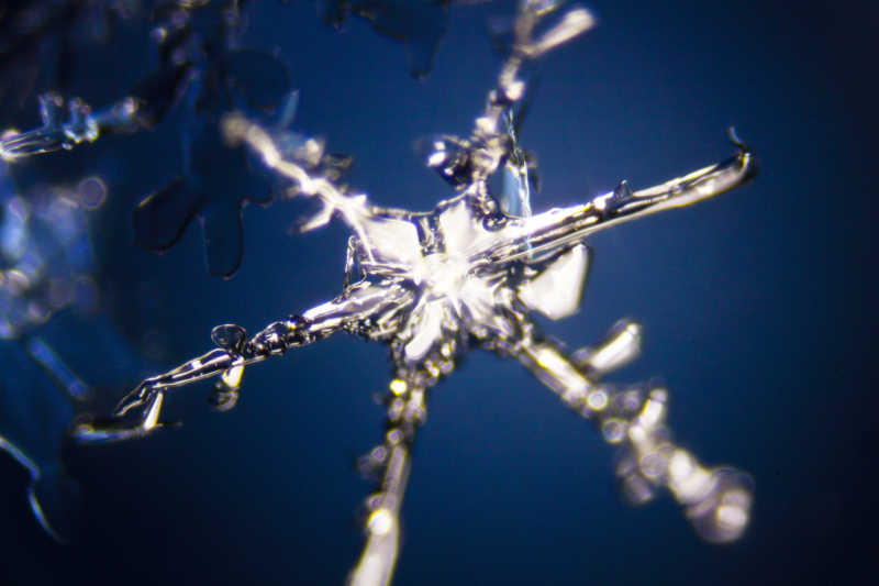 深色背景上雪花晶体