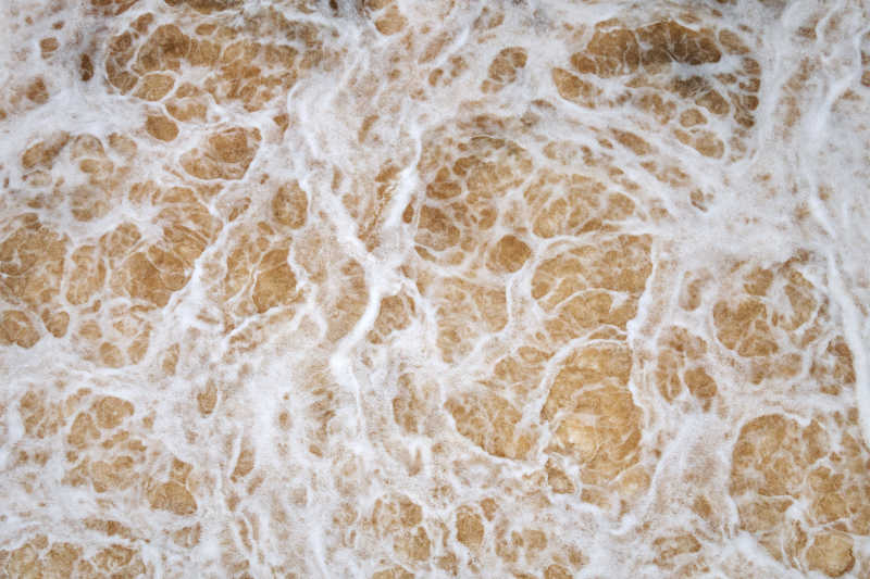 很多泡沫的肮脏的水