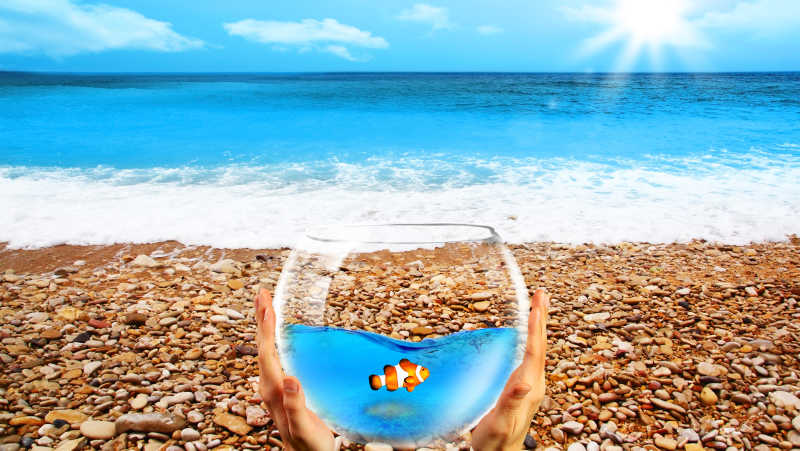 即将获得自由的鱼