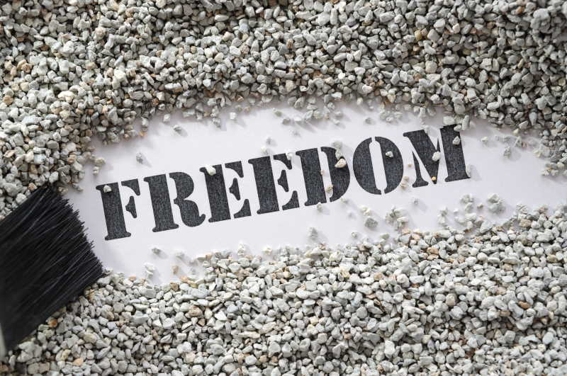 埋在小颗粒下的