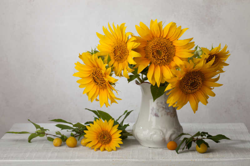 向日葵花束图片 白色背景上的向日葵花瓶素材 高清图片 摄影照片 寻图免费打包下载