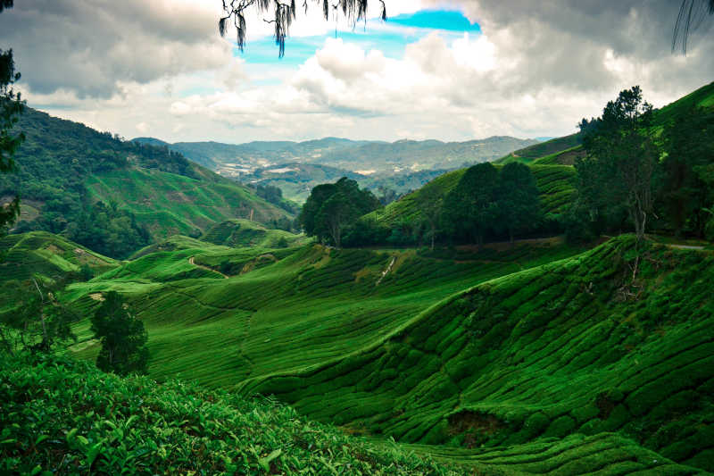 美丽的山野间的起伏
