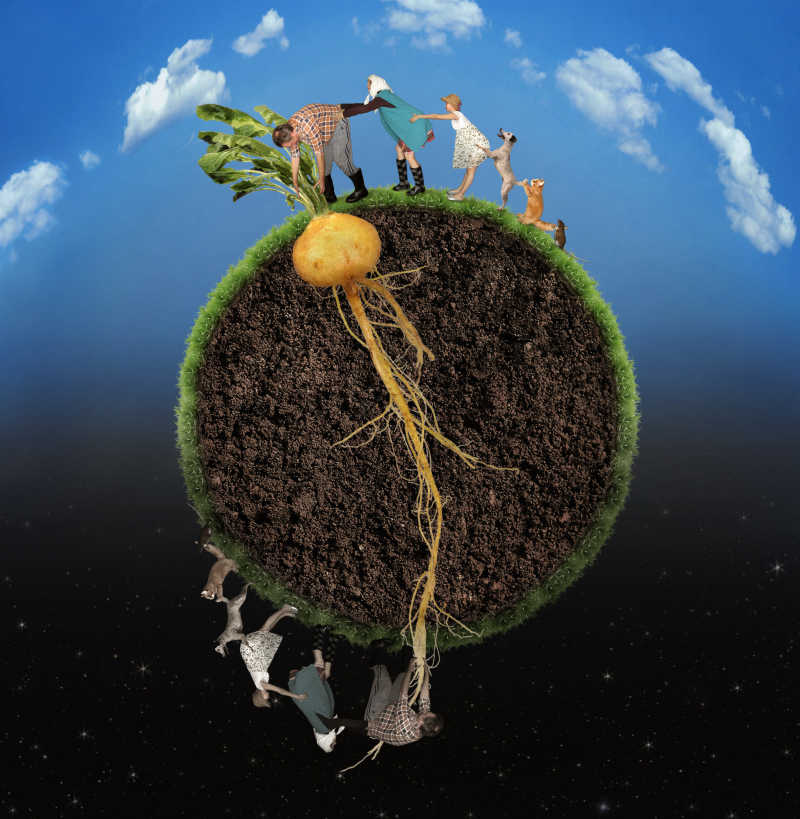 一群人在拔萝卜创意写真