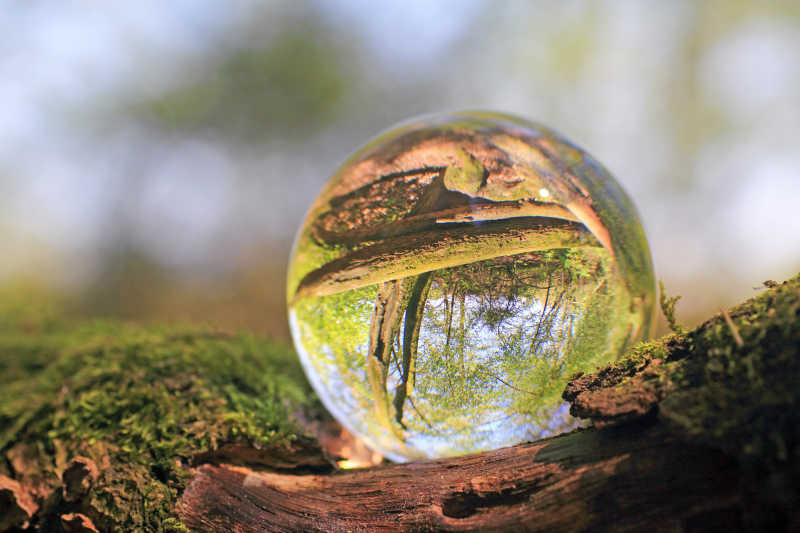 水晶球的大自然绿色风景图片 水晶球的大自然风景素材 高清图片 摄影照片 寻图免费打包下载