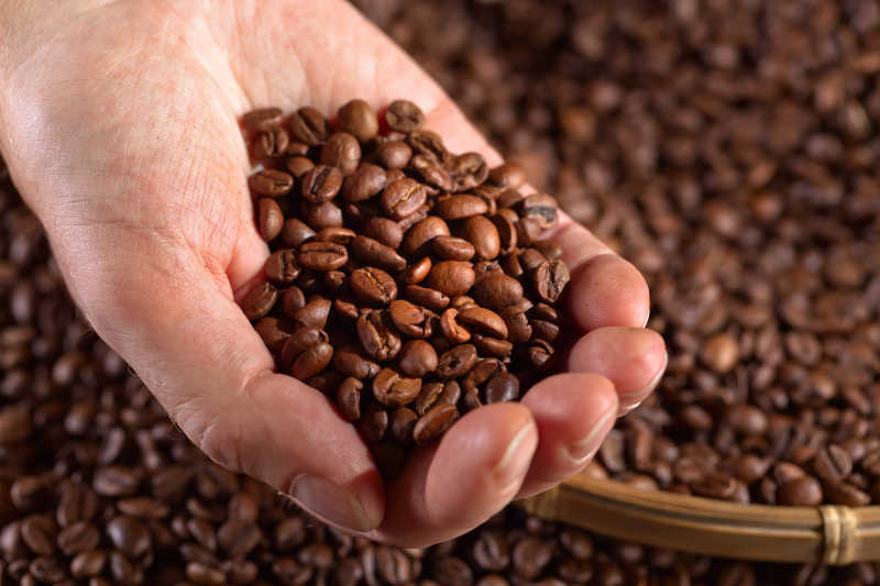 手里抓着一把咖啡豆