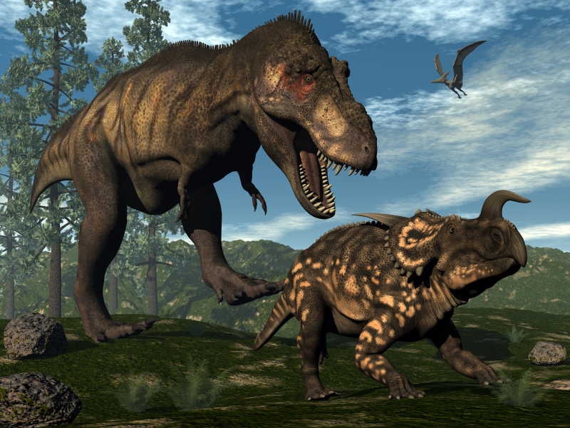霸王龙雷克斯攻击恐龙的3D渲染
