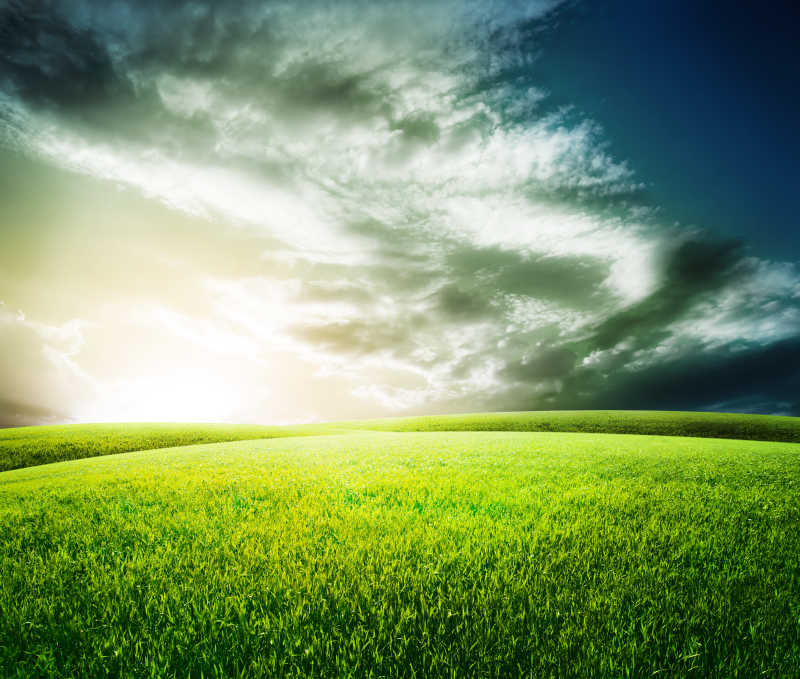 蓝天下的一片绿色草地