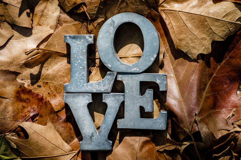 树叶上的LOVE字母