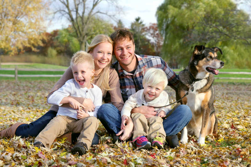 户外落叶上的幸福家庭和狗