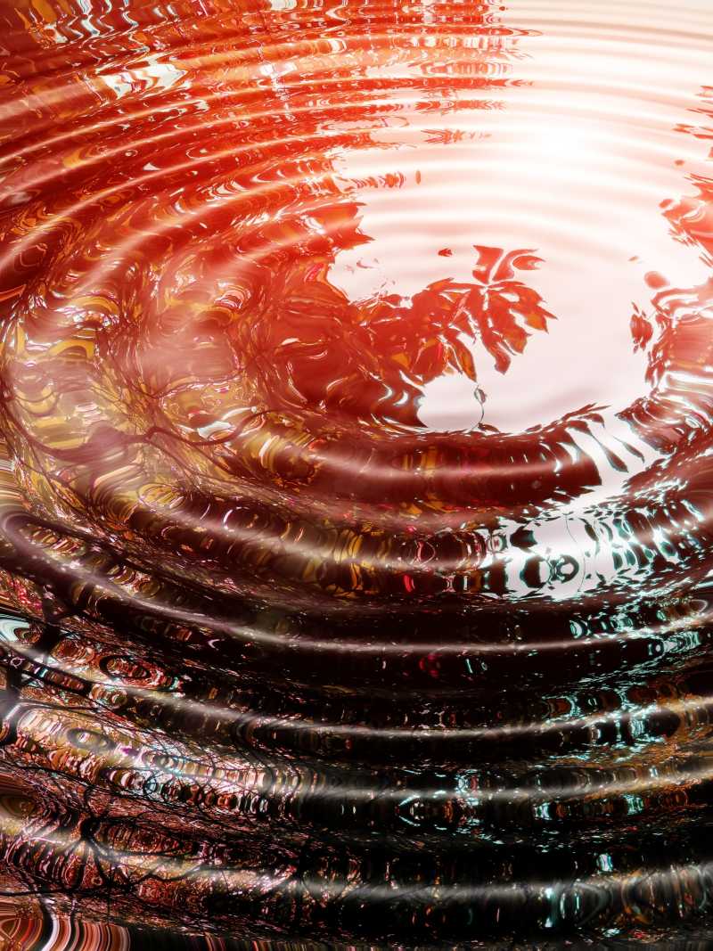 森林在水中的倒影