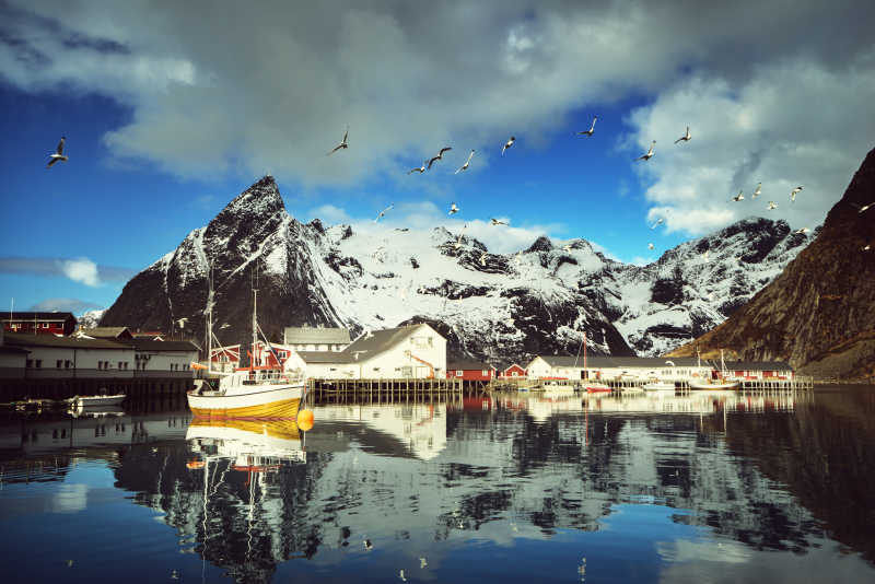 蓝天白云和雪山背景下的罗弗敦群岛群岛的湖泊上的风景