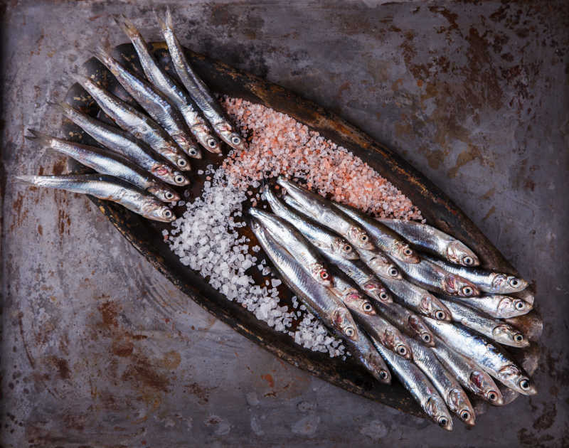 灰色背景下长盘子里摆放整齐的鳀鱼和调味料