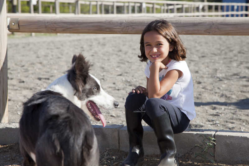 路边休息的小女孩和她的宠物犬