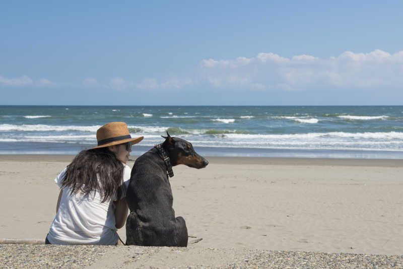 女孩抚摸她的狗在海滩素材