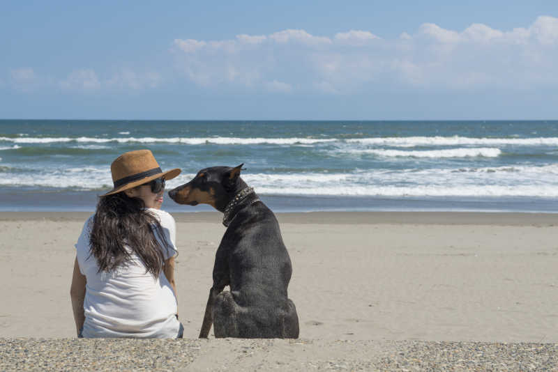 沙滩上温馨的女人与狗