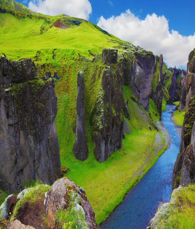 長滿綠草和苔蘚的河谷風景