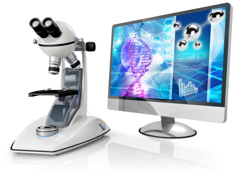 显微镜和电脑上的基因研究