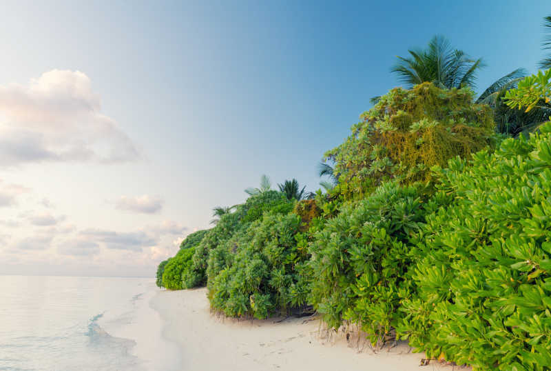 美丽的马尔代夫海滩