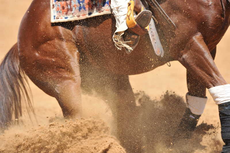 赛马奔跑的地方扬起了大量尘土